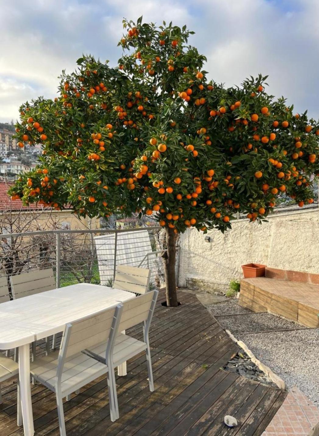 Appartement Fioregreco