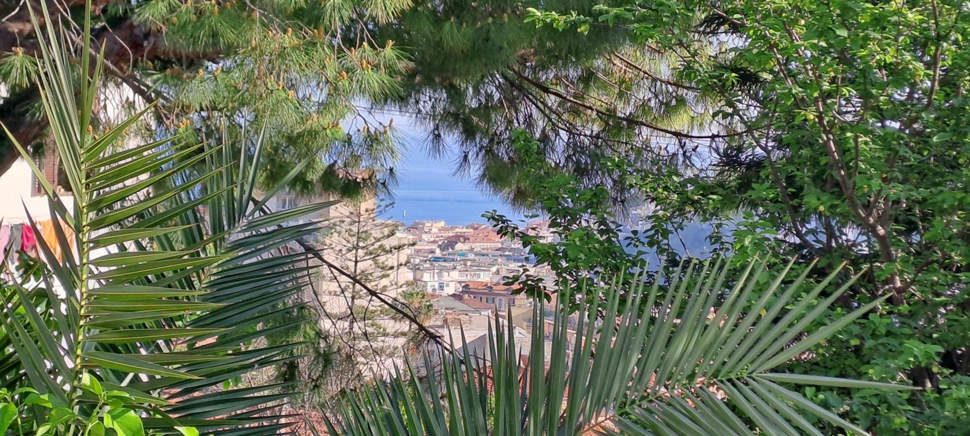 Fioregreco * San Remo